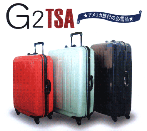G2_TSA