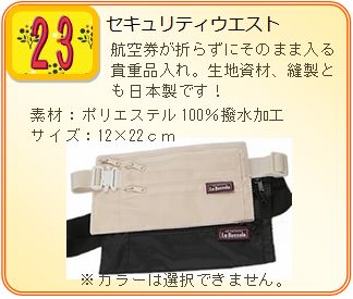 �v���[���g�摜