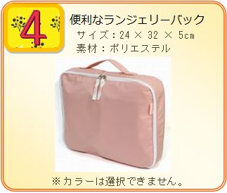 �v���[���g�摜